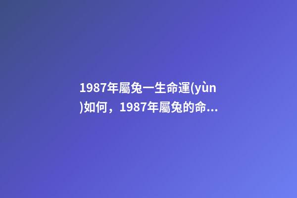 1987年屬兔一生命運(yùn)如何，1987年屬兔的命運(yùn) 1987年屬兔是什么命